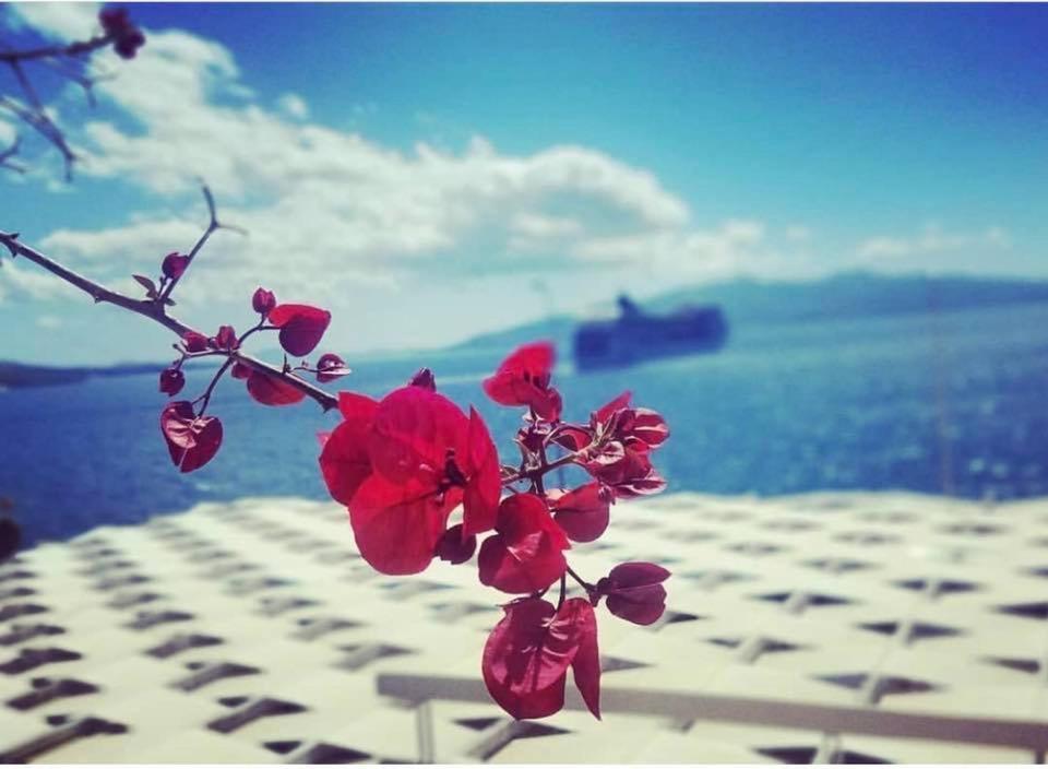 Hotel Erdano Saranda Kültér fotó